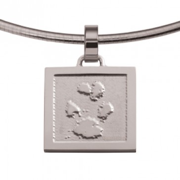 Miracle zilver